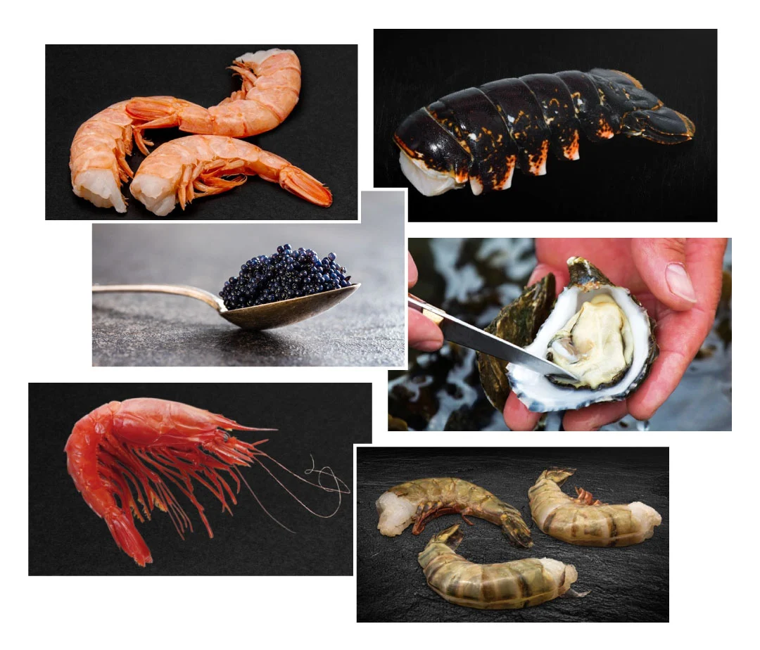 Seafood Seafood